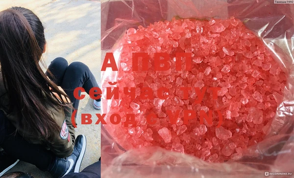 гидра Богданович