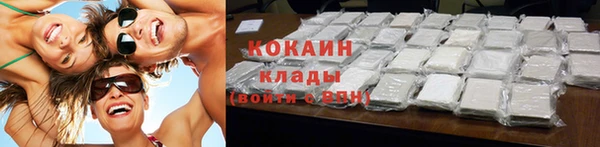 гидра Богданович