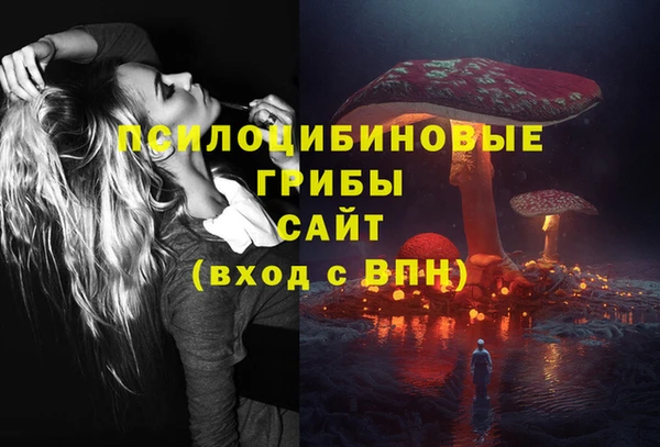 таблы Богородск
