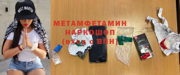 гидра Богданович
