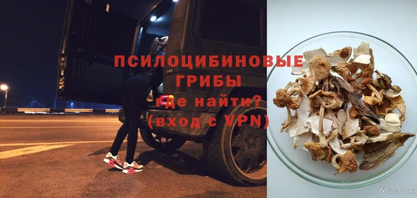 гидра Богданович