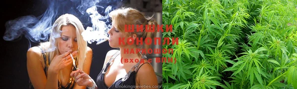 сатива Богородицк