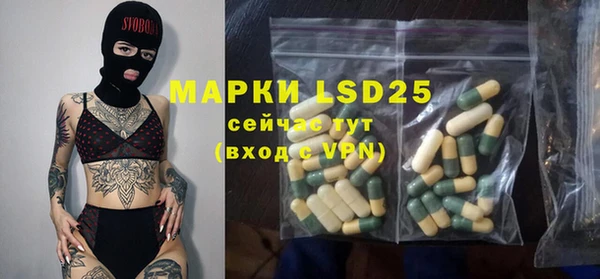 гидра Богданович