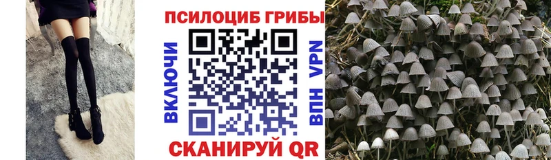 Купить  Гдов  Псилоцибиновые грибы ЛСД 